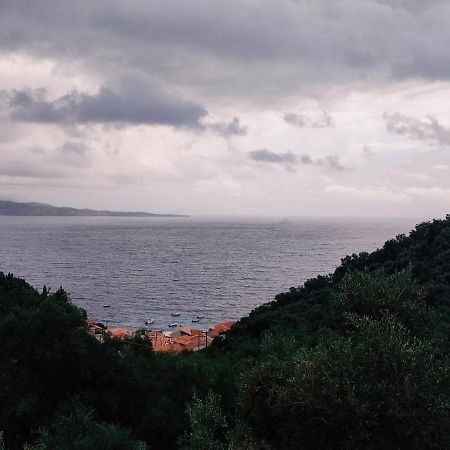 Kaminaki Seaview Apartments Katávolos エクステリア 写真