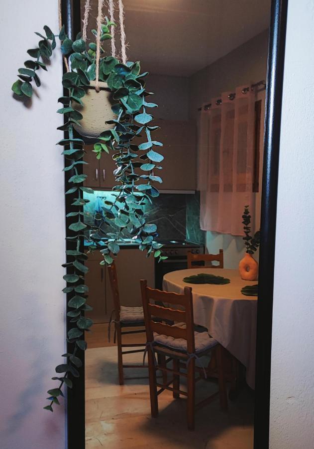 Kaminaki Seaview Apartments Katávolos エクステリア 写真